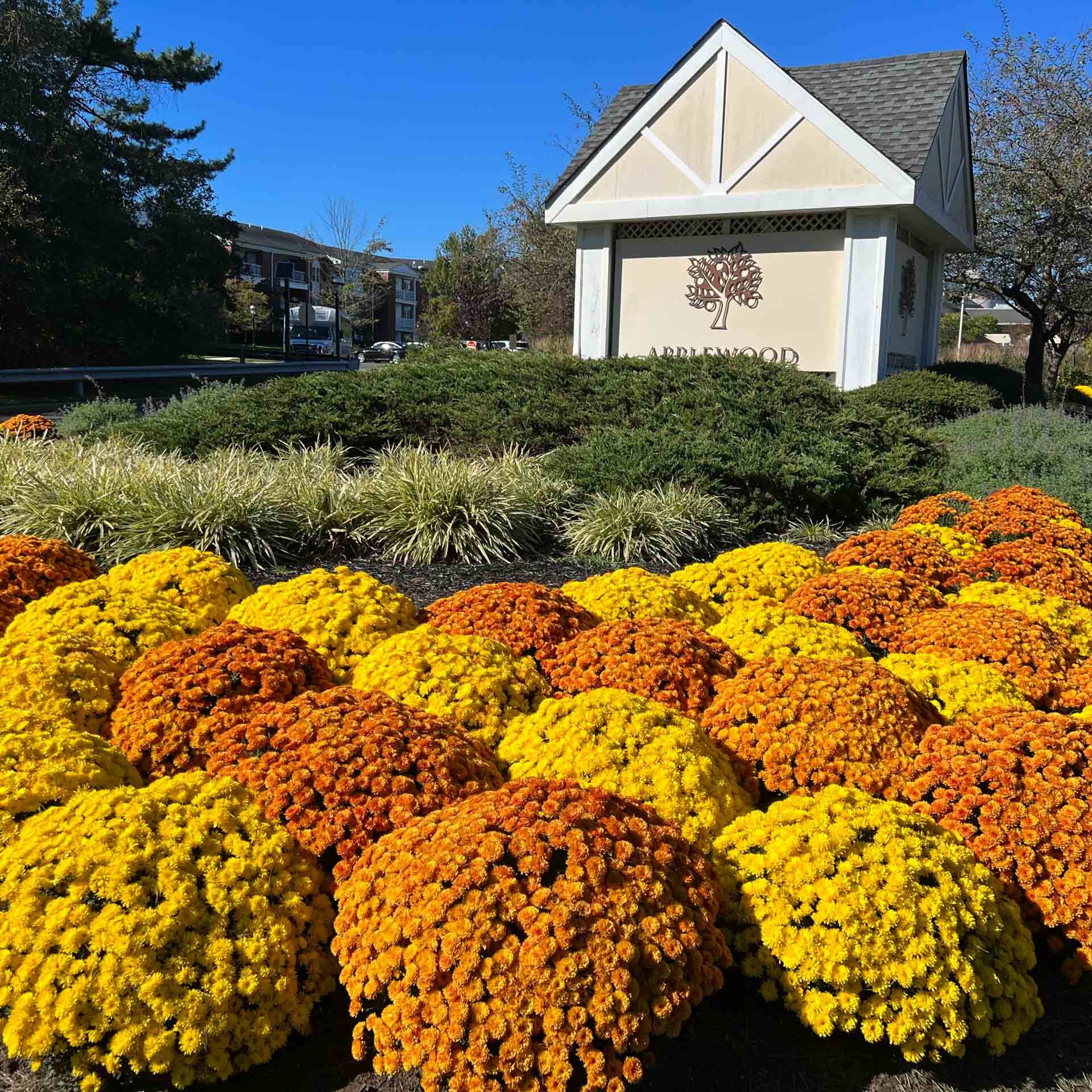 Freehold Township, NJ Commercial Landscaping Companies